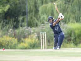 Image result for Bere Regis Cricket Club