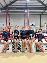 Image result for Huntingdon Gymnastics Club