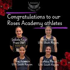 Image result for Academy Netball Club