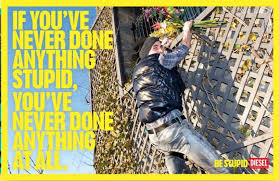 Image result for stupid diesel