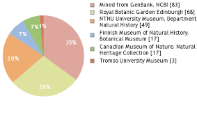 Attēlu rezultāti vaicājumam “Barbilophozia kunzeana”