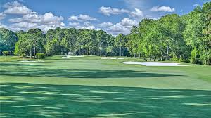 Image result for Dolphina Gc