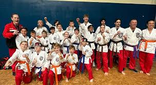 Image result for Kenpo Karate Club