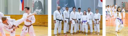 Image result for Tsunami Karate Club