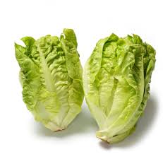 Attēlu rezultāti vaicājumam “Lactuca sativa”