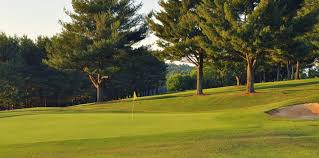 Image result for Abingdon G C