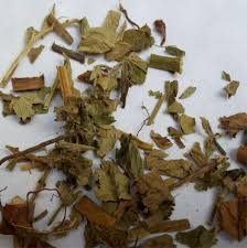 Attēlu rezultāti vaicājumam “Agrimonia pilosa bud”