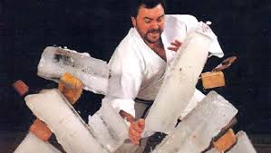 Image result for Seiki Juku Karate Club