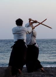 Image result for Sho Shin Kan Aikido Club