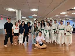 Image result for York University Karate Club