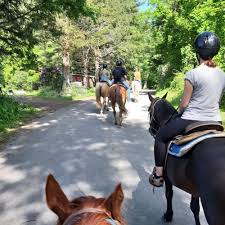 Image result for Patchett`s Green Riding Club