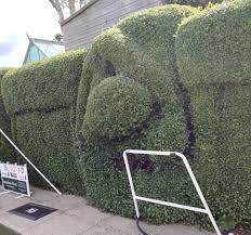 Image result for Buntingford Bowls Club