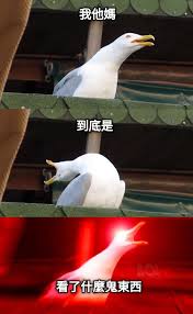 Image result for 這是什麼鬼