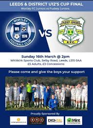 Image result for Leeds juniors afc