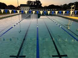 Image result for Ledbury & District Amateur Swimming Club