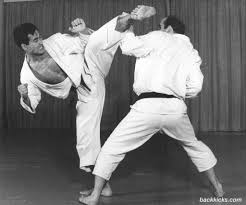 Image result for Park's Martial Arts
