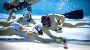 Image result for Mole Valley Sub Aqua Club