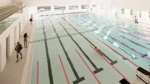 Image result for Stevenage Swimming Club