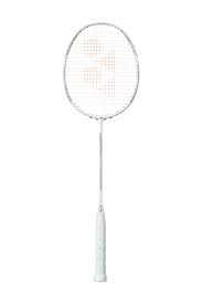 Image result for Beginners and Intermediate Badminton