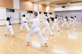 Image result for Seiki Juku Karate Club