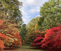 Image result for Cotswold Bsac