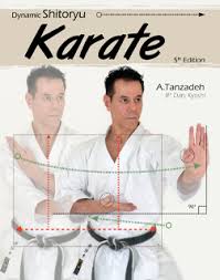 Image result for Ji Shin Do Karate
