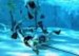 Image result for Edinburgh Octopush Club