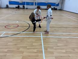 Image result for Junsui Shotokan Karate Do