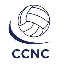 Image result for Icons Netball Club
