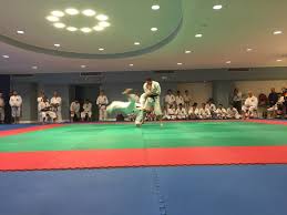 Image result for University of Bristol Shorinji Kempo Club