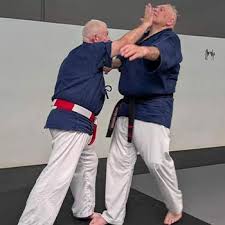 Image result for British Jujitsu Ryu