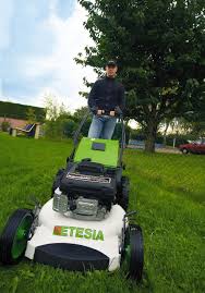 Image result for etesia tehron