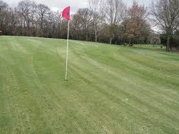 Image result for Surbiton Golf Club