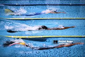 Image result for Swansea Finswimming Club