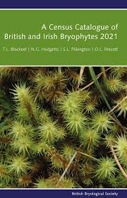 Attēlu rezultāti vaicājumam “Leiocolea rutheana”