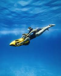 Image result for Seabug Divers