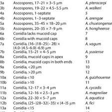 Attēlu rezultāti vaicājumam “Diderma floriforme”