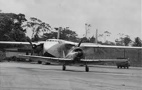 Image result for %82%E4%82%C1%82%AD%82%E8%82%B5%82%C4%82%A2%82%C1%82%C4%82%CB