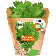 Image result for Koriander