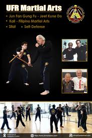Image result for Dallo Martial Arts