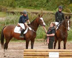 Image result for heiss tehron