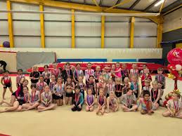 Image result for Appley Bridge Gymnastics Club