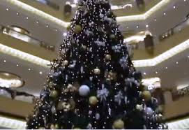 مجموعة صور لأجمل ـشجرة عيد الميلاد - صفحة 3 Images?q=tbn:ANd9GcQL5GPvwb1Zb4VU2xzQkZa6VdvT5SZXMgKWcuberqCm6XrmlK04