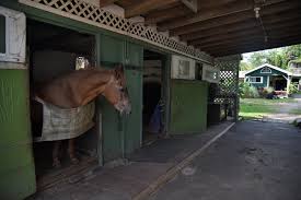 Image result for Old Park Riding Stables