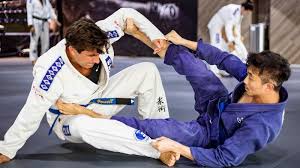Image result for Judo/Ju-Jitsu Self Defence