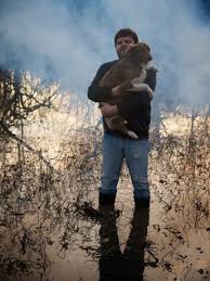 Image result for biker fox