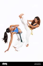 Image result for Brazilian-martial arts