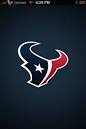 HOUSTON TEXANS Screenshots, screen capture - Softpedia