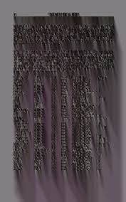 Attēlu rezultāti vaicājumam “Belbodamaeus sp.”