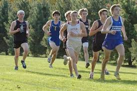 Image result for Exeter Harriers Limited